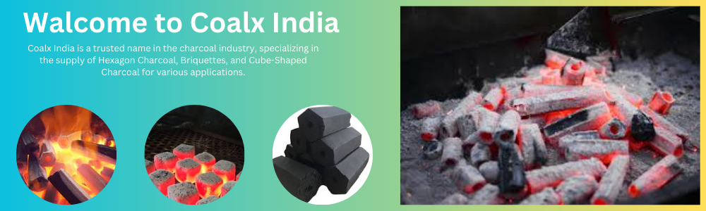 Coalx india