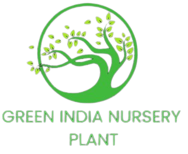 Green India Nursery Plant