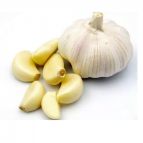 Fresh Garlic