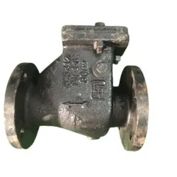 Cast Iron Check Valve