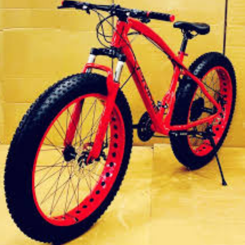 Fat Bike