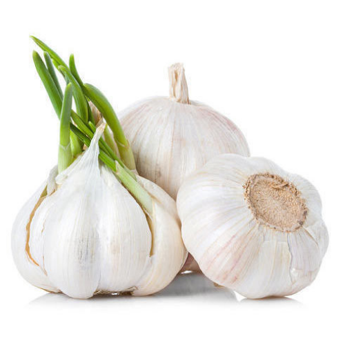 Indore Garlic