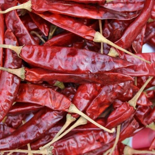 Long red chilli