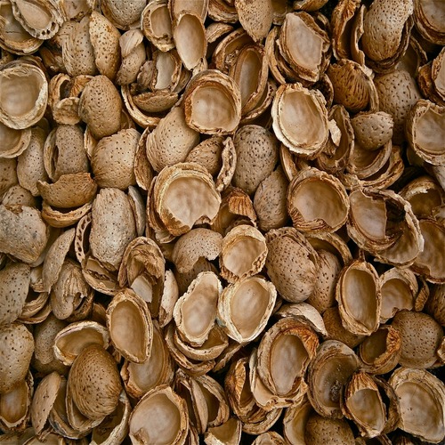 Almond Shell