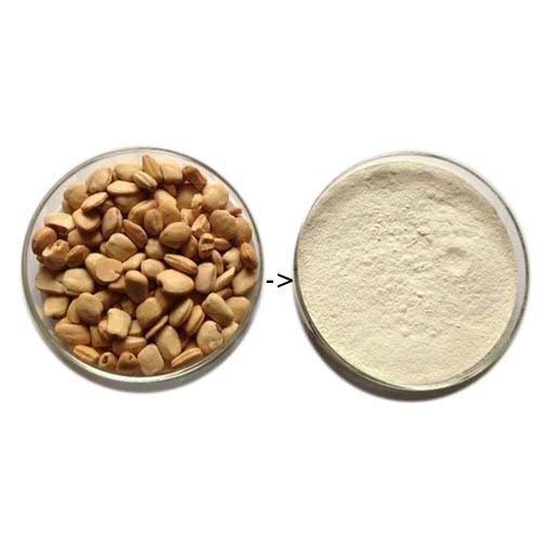 Tamrind Seed Powder